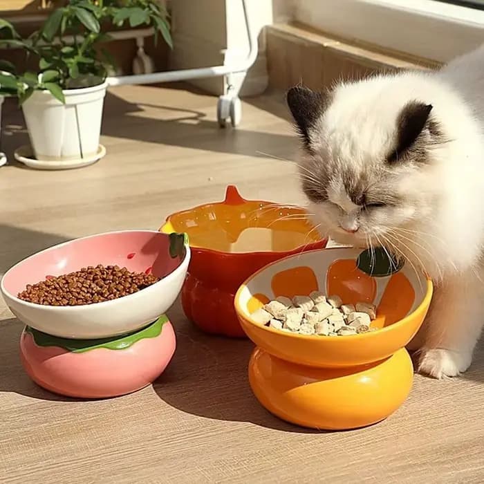 Bol pour chat surélevé en céramique peint à la main
