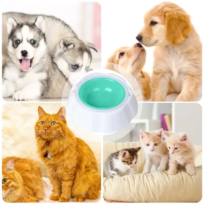 Gamelle rafraîchissante pour animaux – Bol d'eau glacée en gel pour chien et chat