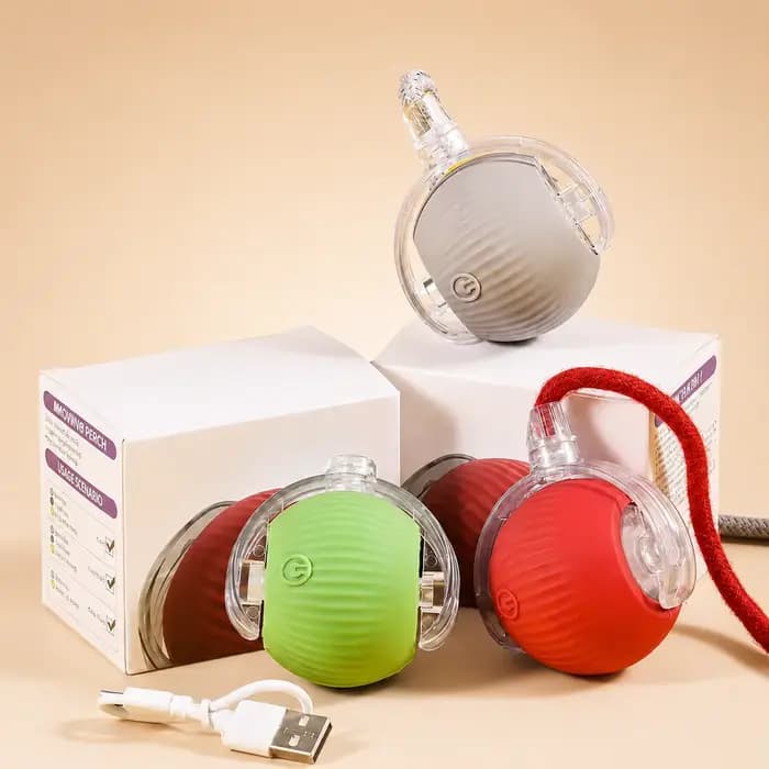Nouveau jouet interactif de balle de chat