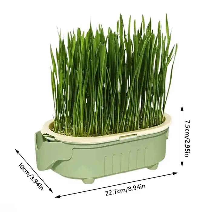 Kit de jardinière d'herbe pour chat biologique