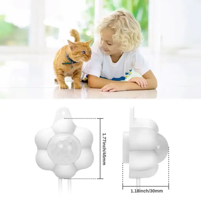 Distributeur d'eau automatique pour animaux de compagnie à domicile