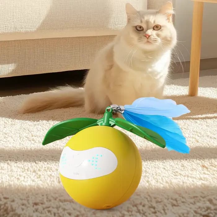 Nouveau modèle de jouet pour chat - Lumière laser intelligente auto-amusante pour jouer avec les chats et les animaux de compagnie