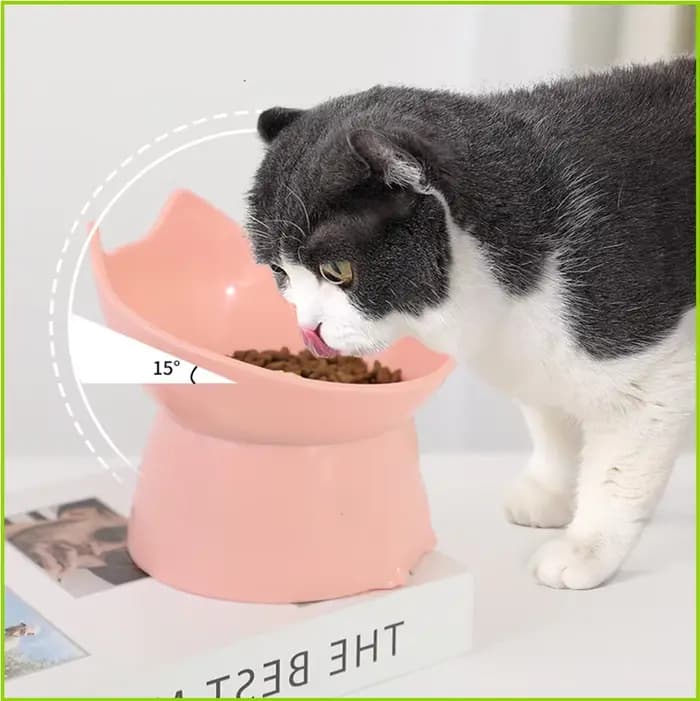 Gamelle surélevée pour chat et chien avec longues oreilles et pieds hauts