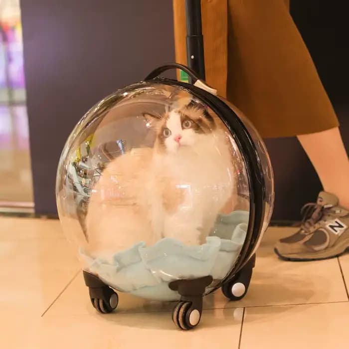 Sac de voyage portable pour chat