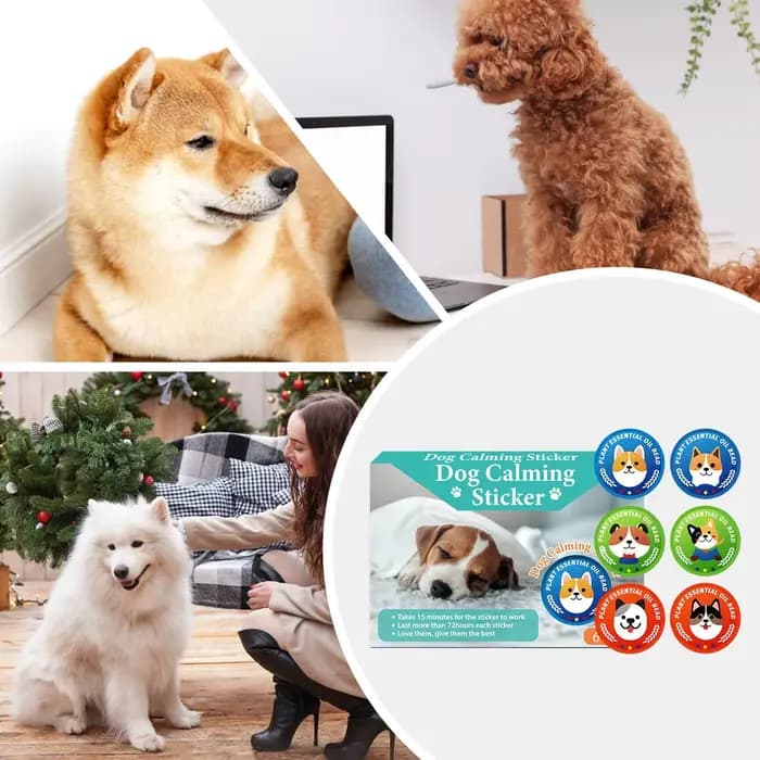Calme pour chats 6X patchs sédatifs à dégagement rapide