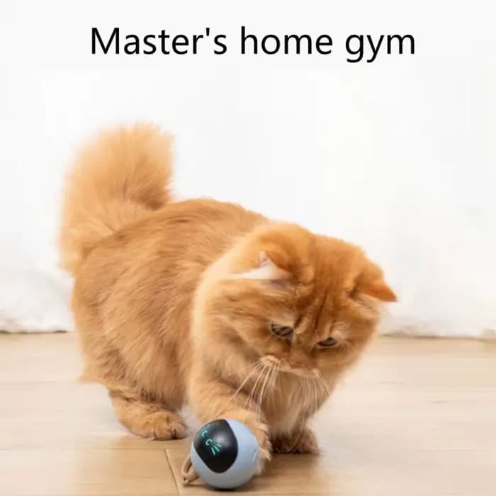 Jouet intelligent automatique pour chat