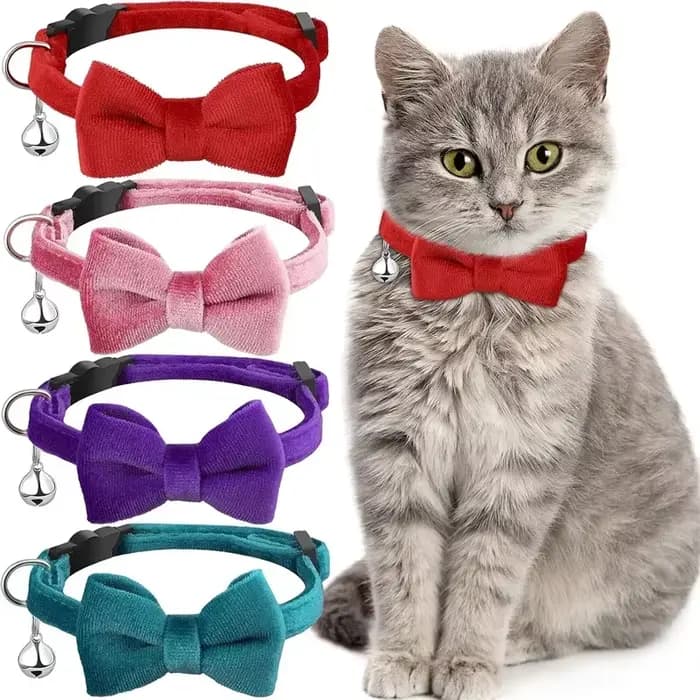 Collier pour chat avec clochette et nœud papillon