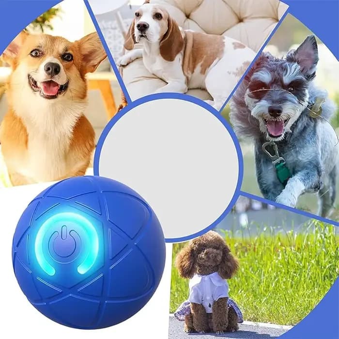 Jouet pour chien, balle interactive, balle roulante, jouet pour chien à mouvement automatique, deux modes, rechargeable, balle automatique, accessoires pour animaux de compagnie, pour chien, chiot