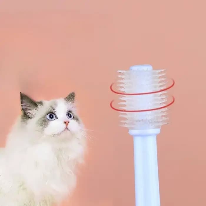 360 ° Brosse à dents pour animaux de compagnie
