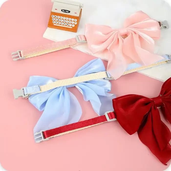 Collier pour chat réglable