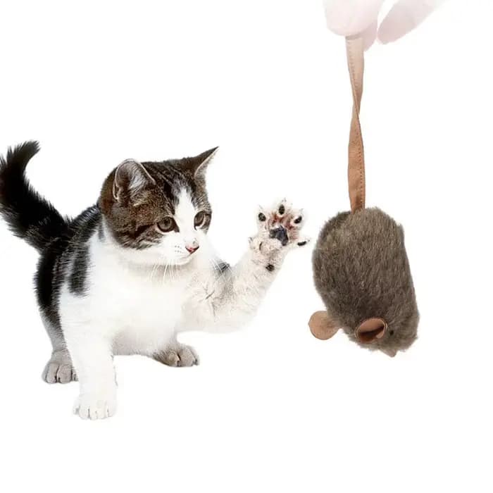 Jouet interactif pour chat en forme de souris qui chiaa - Jouet en peluche doux activé par le toucher pour l'entraînement de l'instinct de chasse des chats