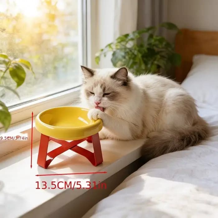 Gamelle surélevée grand diamètre anti-déversement et anti-fuite pour chats et chiens, gamelle surélevée anti-étouffement et anti-choc pour animaux de compagnie