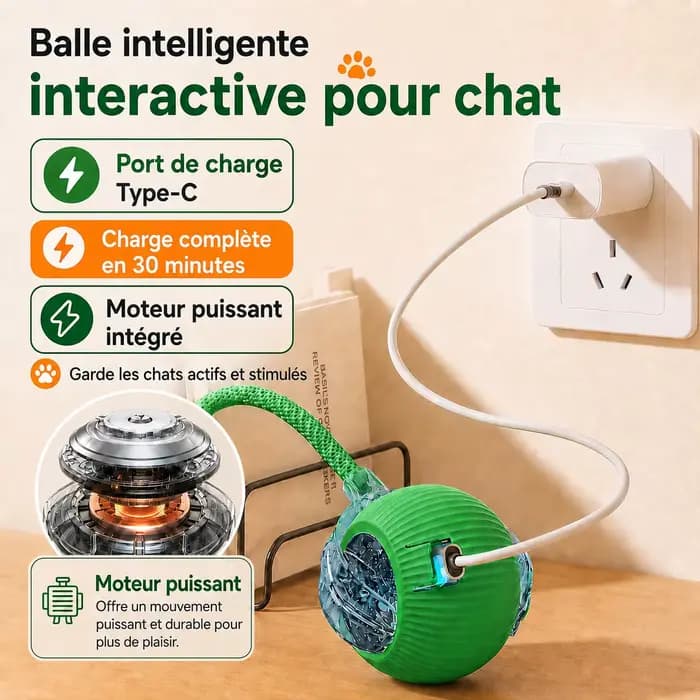 Nouveau jouet interactif de balle de chat