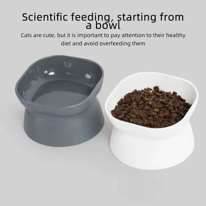 Bol de nourriture pour chat/chien à double usage