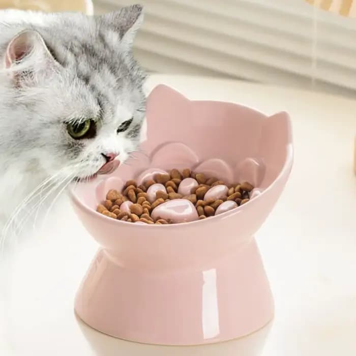 Bol de nourriture lente en céramique pour chat