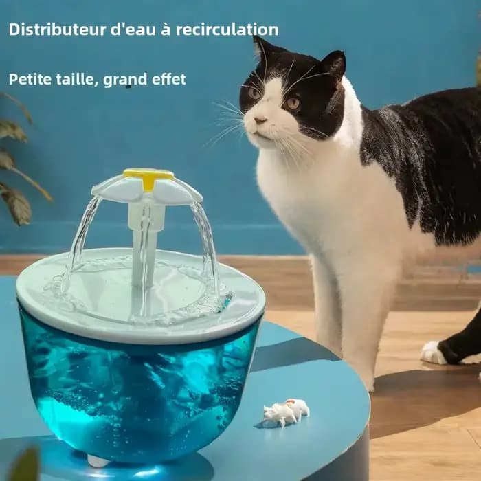 Fontaine à eau pour chat
