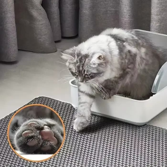 1 tapis à litière pour chat à double couche