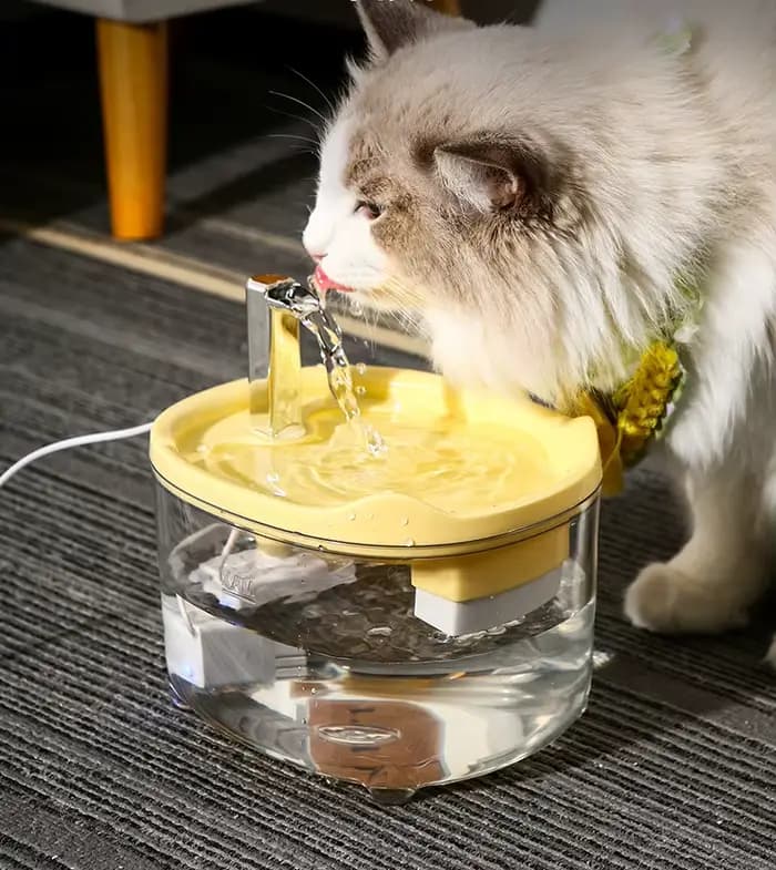 Fontaine d'eau automatique pour chat avec filtre | Distributeur