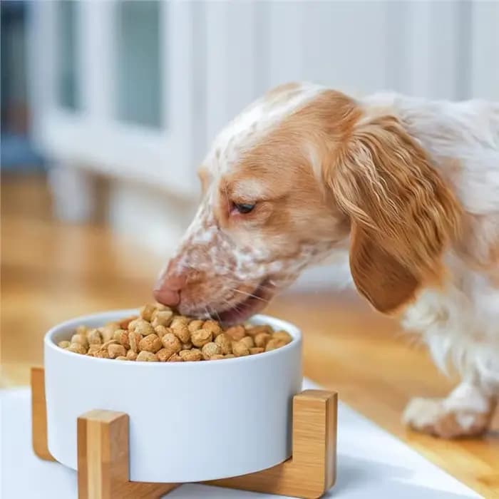 BSEVB - Petit bol pour animaux de compagnie en grès blanc et bois