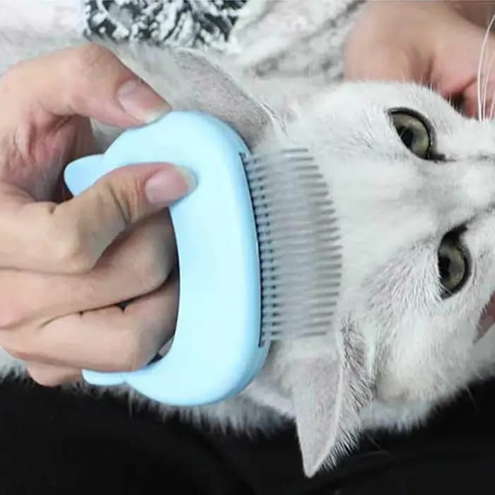 Brosse de Massage pour animaux de compagnie
