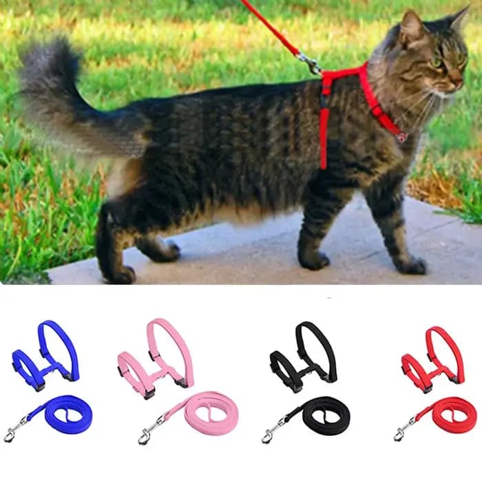 Collier réglable pour animaux de compagnie
