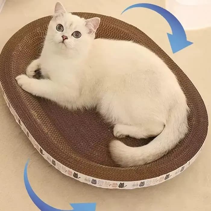 Gratte-chat ondulé grattoirs pour chat planche à gratter