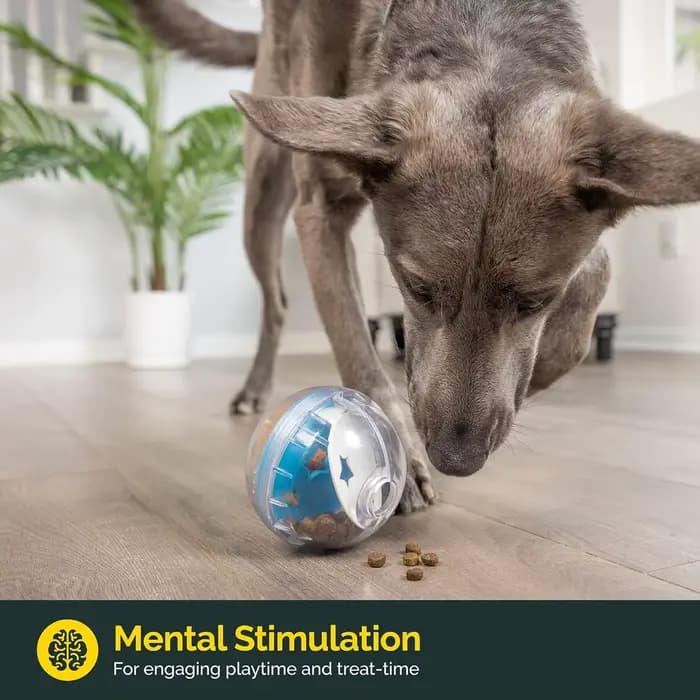 Boule de friandises IQ pour chien