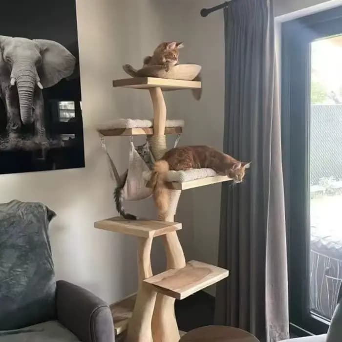 Arbre à chat en bois d'intérieur moderne de haute qualité