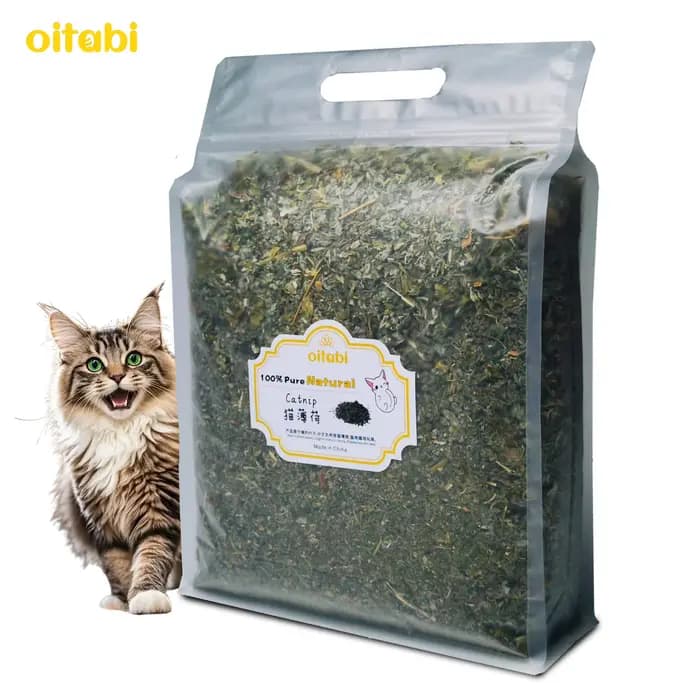Oitabi 300 g/500 g d'herbe à chat naturelle pour chats et chatons