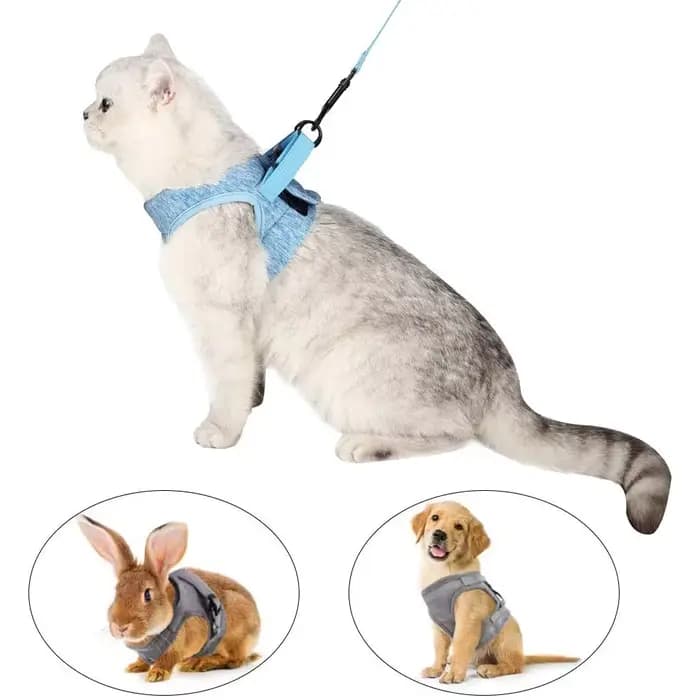 Harnais et laisse pour chat