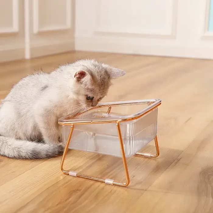 Double bol Transparent pour animaux de compagnie