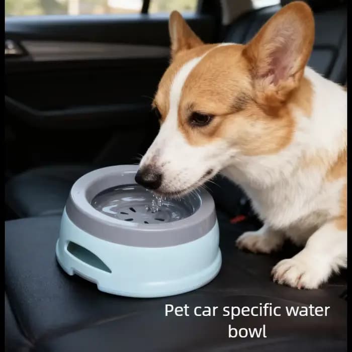 Bols flottants pour chiens et chats