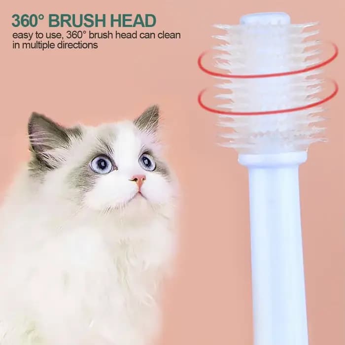 Brosse à dents pour chat