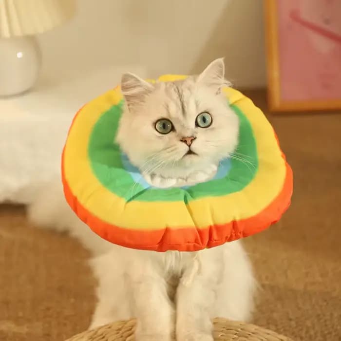 HOOPET – collier élisabéthain pour chat