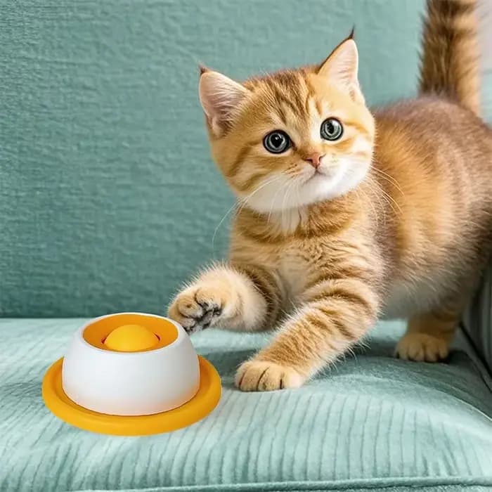 Bol à lécher pour chien/chat