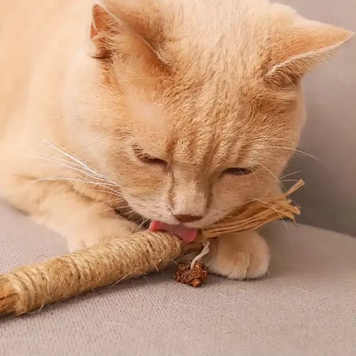 Jouet à mâcher en herbe de cataire pour chat