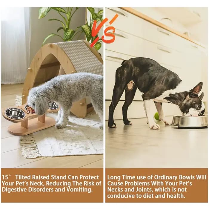 Mangeoire pour chat surélevée 3 bols en 1 fournitures d'alimentation et d'arrosage 15 ° Puppy surélevé 3