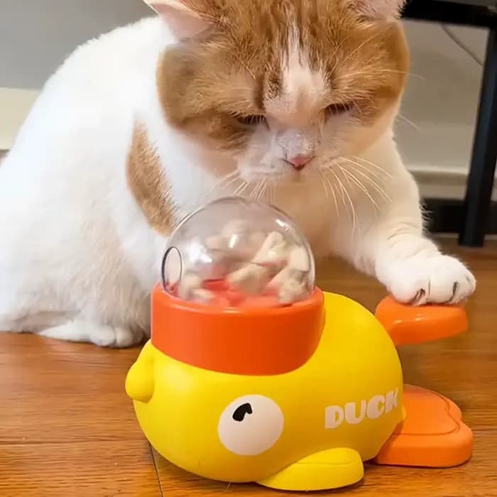 Distributeur interactif de friandises pour animaux