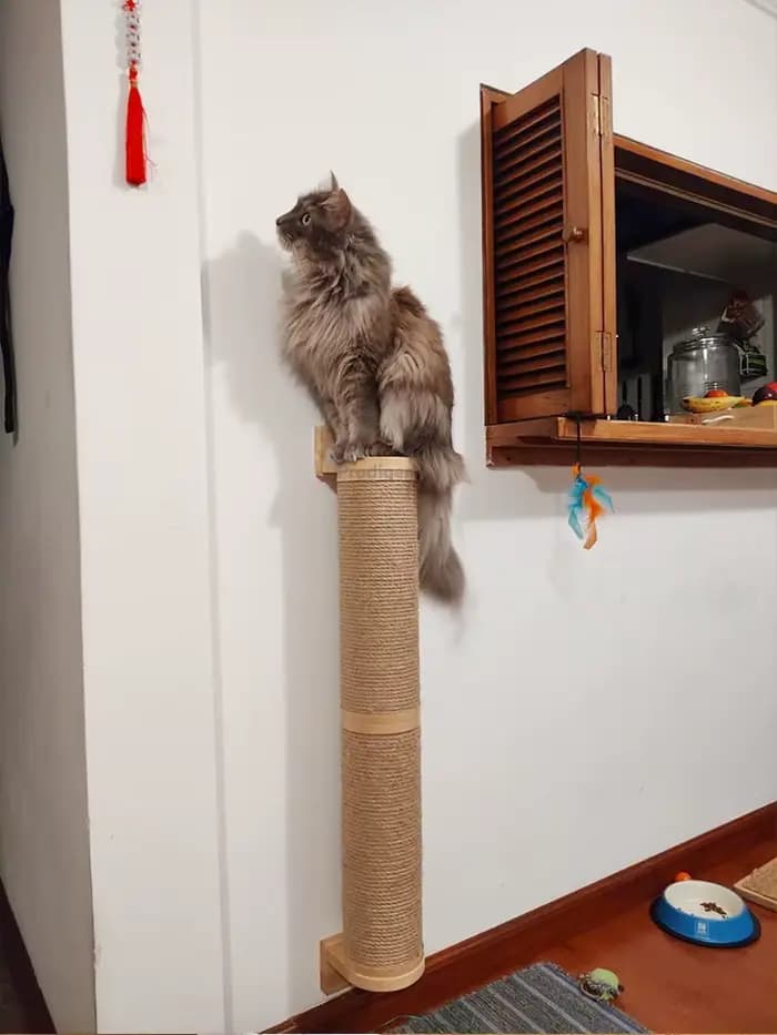 Poteau à gratter pour chat