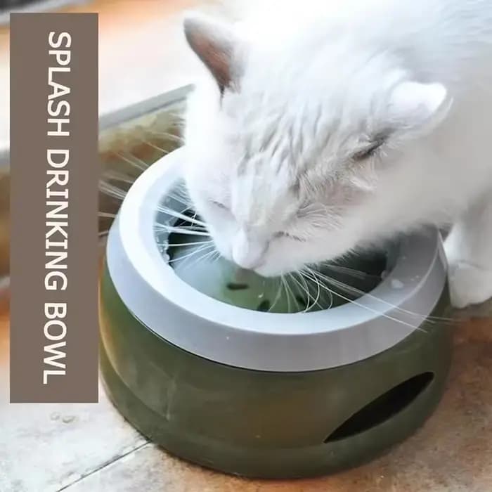 Bol à eau anti-déversement pour animaux de compagnie