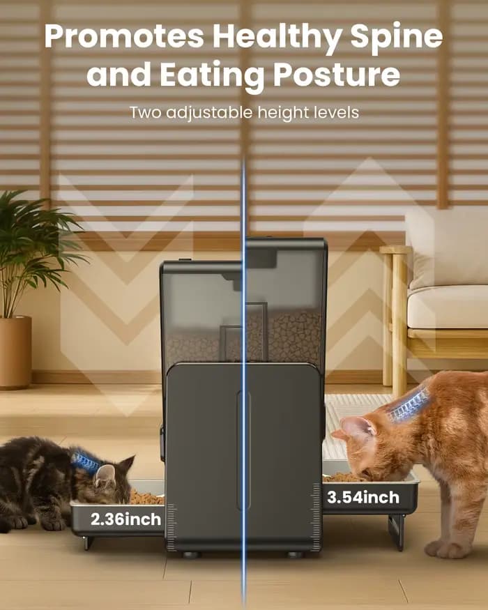 Distributeur automatique de croquettes pour chat