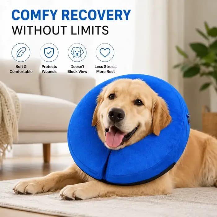 Collier de récupération gonflable pour chien