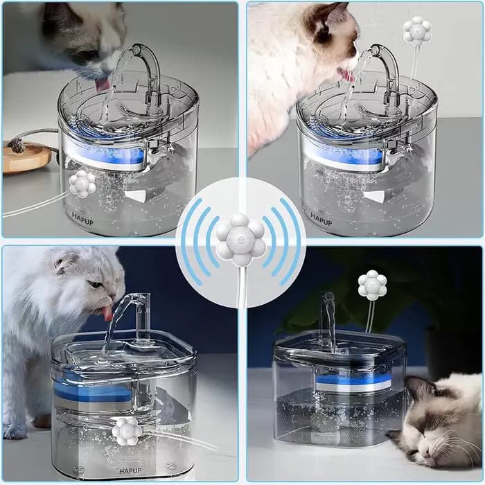 Fontaine à eau automatique pour animaux de compagnie avec capteur de mouvement
