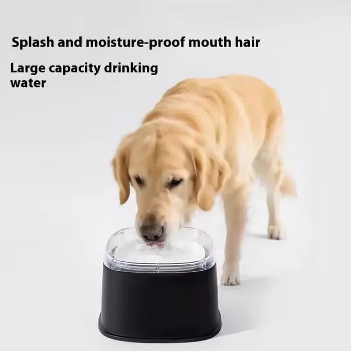 Bol d'eau flottant pour animaux de compagnie