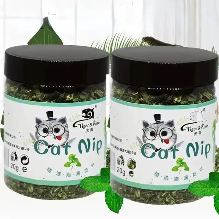 5-40g Herbe à chat biologique 100% naturelle