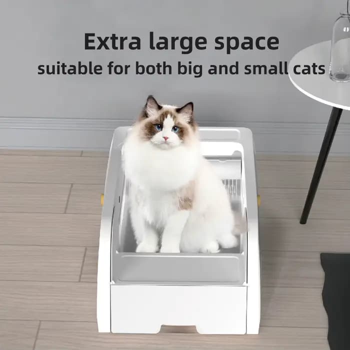 Nouvelle Litière Automatique pour Chat à Couvercle Ouvert