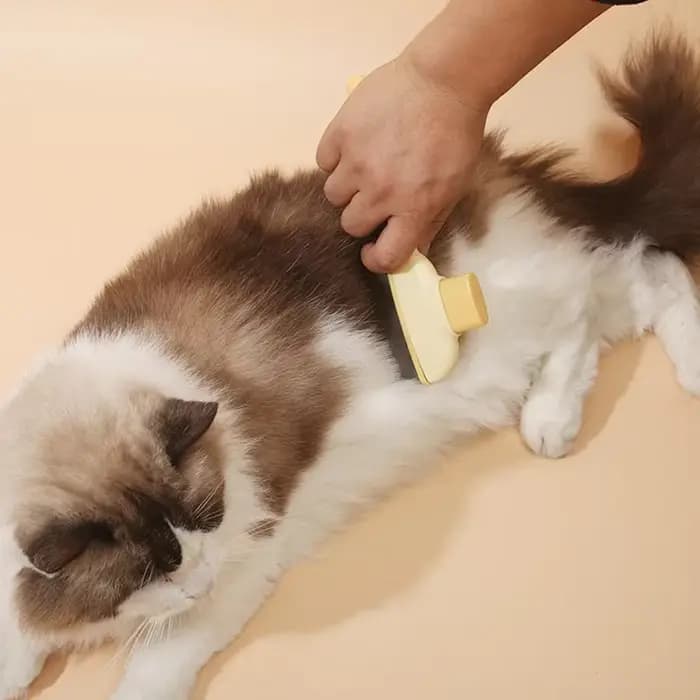 Peigne pour animaux de compagnie
