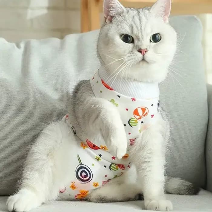 Combinaison chirurgicale pour chats