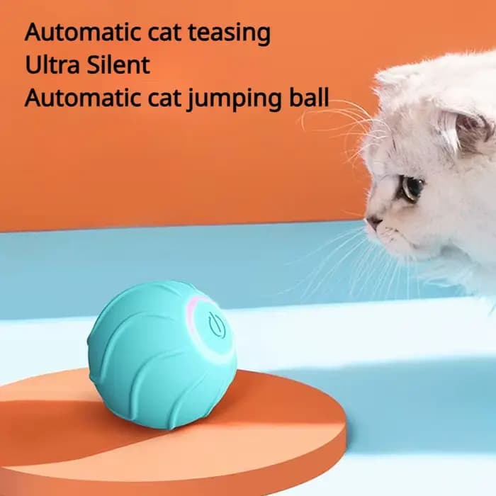 Jouets intelligents pour chat