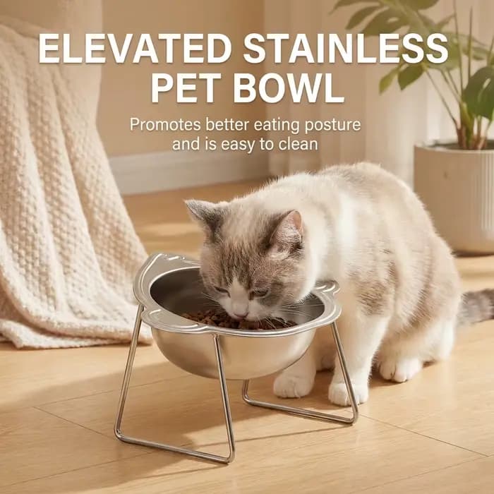 Bol pour chat en acier inoxydable avec support